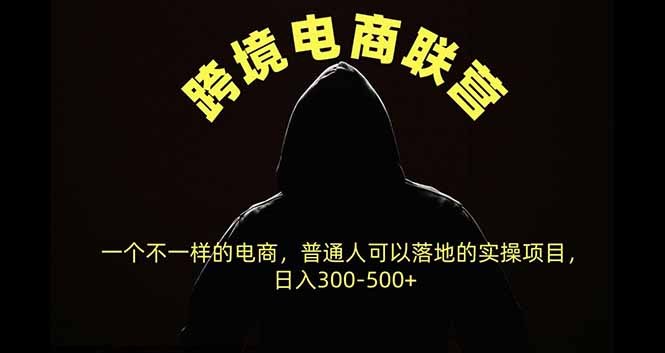跨境电商联营，一个不一样的电商，普通人可操作日入300-500+-HEIXMI（中国站）