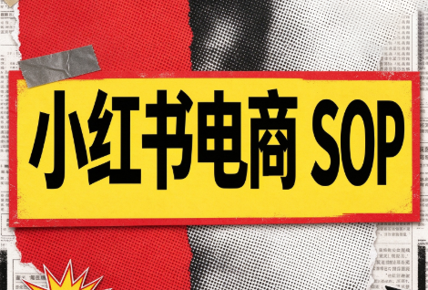 书豪必胜小红书电商sop(更新9月)-HEIXMI（中国站）