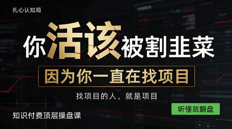 做项目不如卖项目，做知识付费自己当老板，知识付费顶层操盘课，听懂就翻盘【揭秘】-HEIXMI（中国站）