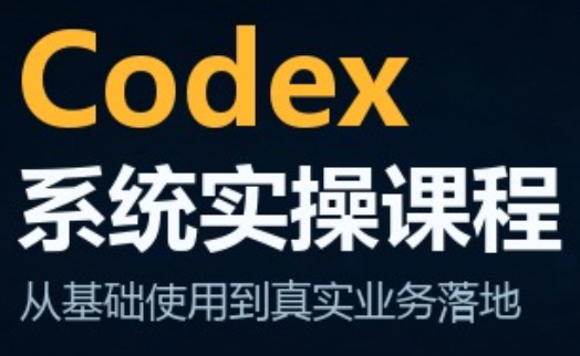 codex系统实操课程(更新10月)-HEIXMI（中国站）