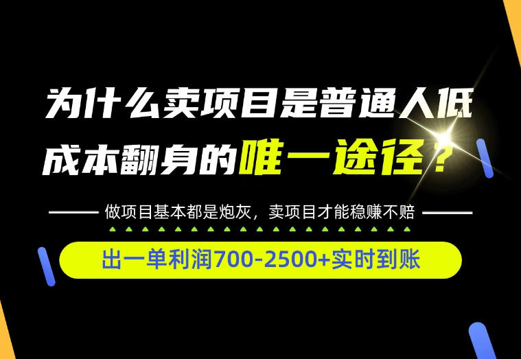 普通人如何靠互联网賺取自己的第一桶金！全类目实操型教学，看完你全都懂了！【揭秘】-HEIXMI（中国站）