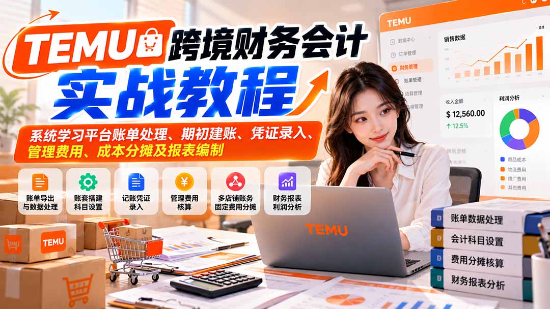 TEMU跨境财务会计实战教程：系统学习平台账单处理、期初建账、凭证录入、管理费用、成本分摊及报表编制-HEIXMI（中国站）
