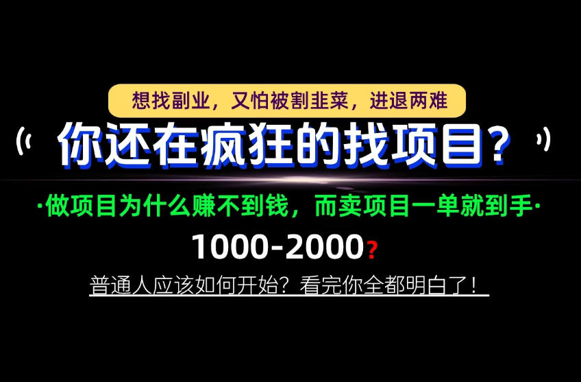 你还在疯狂的找项目？别傻了！卖项目才是真正的一本万利！怎么做，看完你全都明白！【揭秘】-HEIXMI（中国站）