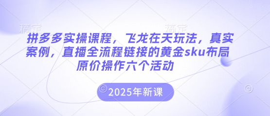 拼多多实操课程，飞龙在天玩法，真实案例，直播全流程链接的黄金sku布局原价操作六个活动-HEIXMI（中国站）