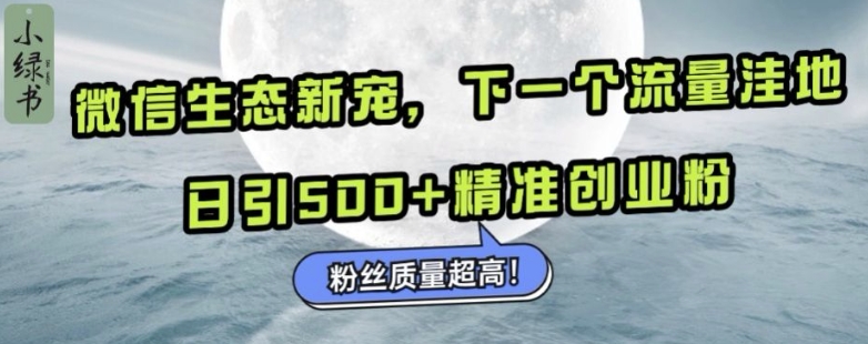 微信生态新宠小绿书：下一个流量洼地，日引500+精准创业粉，粉丝质量超高-HEIXMI（中国站）