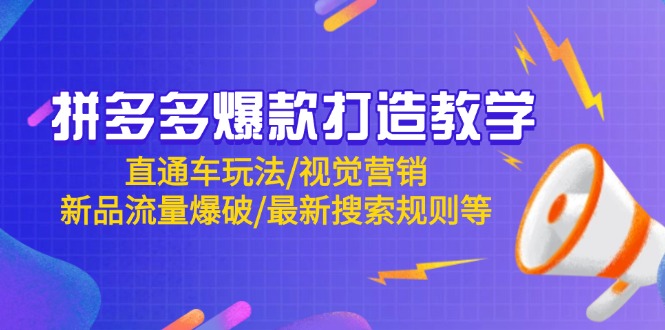 拼多多爆款打造教学：直通车玩法/视觉营销/新品流量爆破/最新搜索规则等-HEIXMI（中国站）