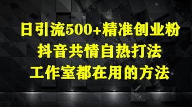 日引流500+精准创业粉，抖音共情自热打法，工作室都在用的方法 - HEIXMI（中国站）-HEIXMI（中国站）