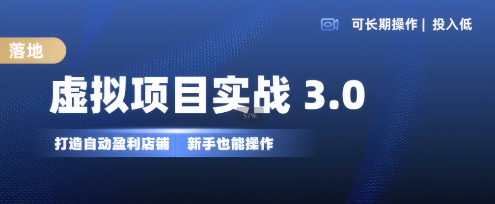 虚拟项目实战3.0，打造自动盈利店铺，可长期操作投入低，新手也能操作-HEIXMI（中国站）