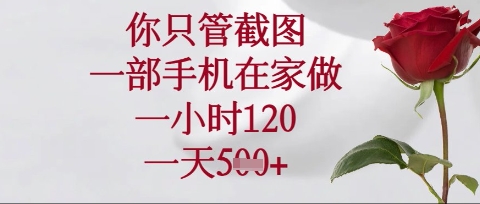你只管截图，一部手机在家操作，一小时120.一天5张【揭秘】-HEIXMI（中国站）