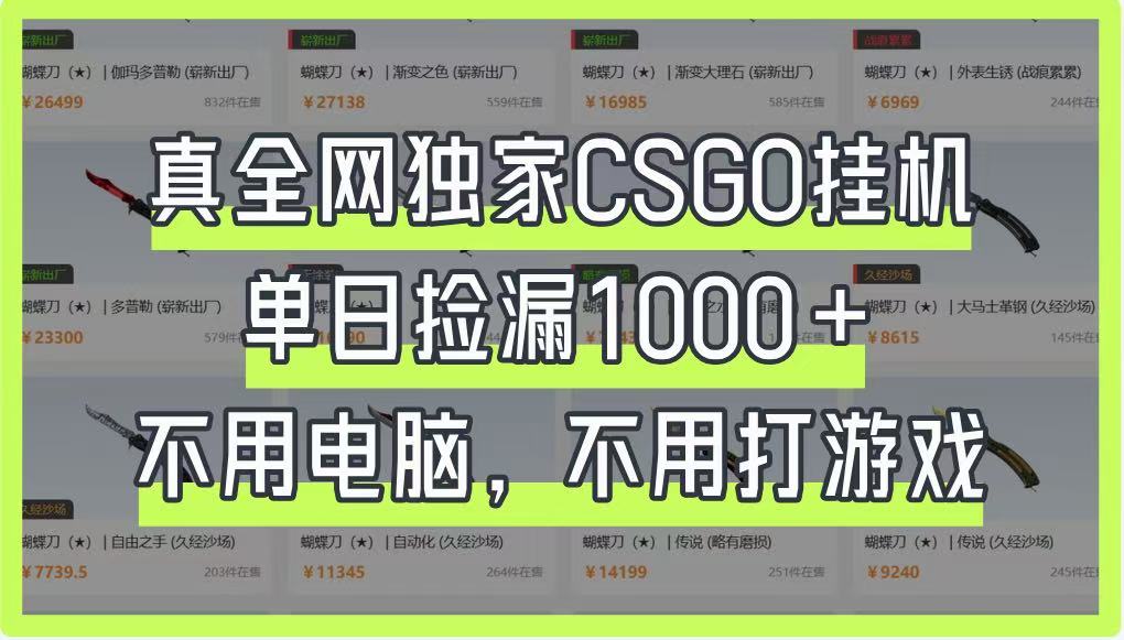真全网独家CSGO挂机，单日捡漏1000+，不用电脑，不用养号-HEIXMI（中国站）