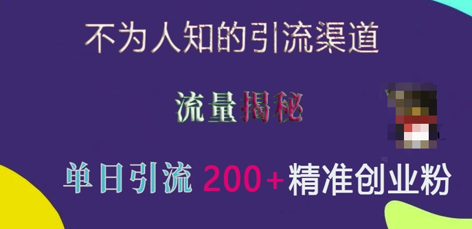 不为人知的引流渠道，流量揭秘，实测单日引流200+精准创业粉【揭秘】-HEIXMI（中国站）