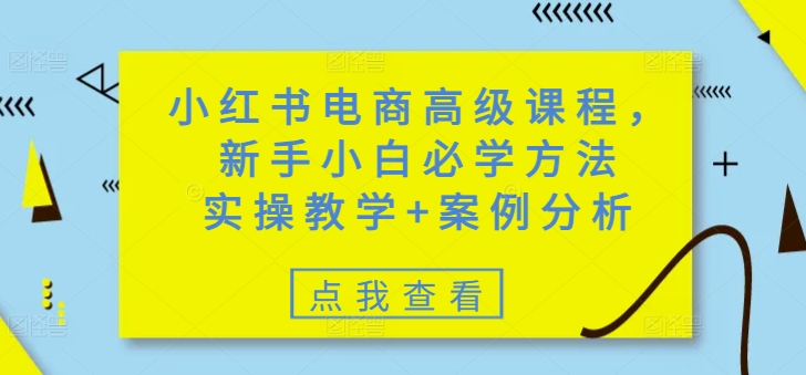 小红书电商高级课程，新手小白必学方法，实操教学+案例分析-HEIXMI（中国站）