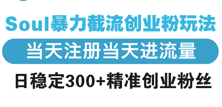 Soul暴力截流创业粉玩法，当天注册当天进流量，日稳定300+精准创业粉丝-HEIXMI（中国站）
