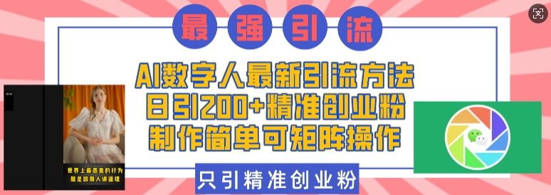 AI数字人最新引流方法，日引200+精准创业粉，制作简单可矩阵操作-HEIXMI（中国站）