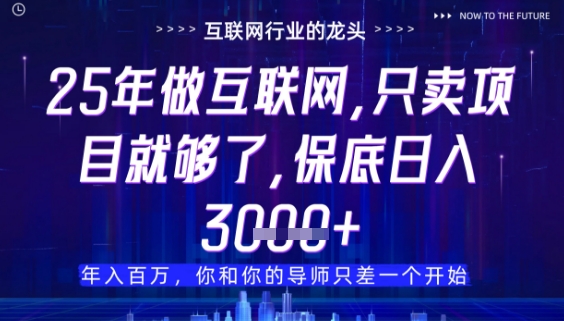 什么！25年你还在找项目做？风口早就变了，卖项目才是稳挣不赔【揭秘】-HEIXMI（中国站）