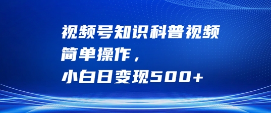 视频号知识科普视频，简单操作，小白日变现500+【揭秘】-HEIXMI（中国站）