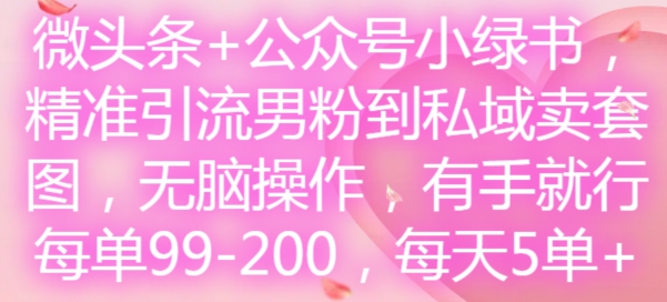 微头条+公众号小绿书，精准引流男粉到私域卖套图，无脑操作，有手就行，每单99-200，每天5单-HEIXMI（中国站）