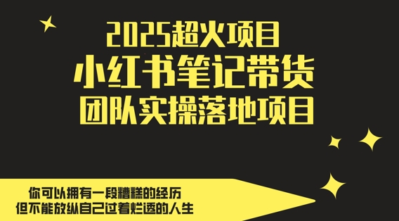2025超火项目，副业最佳选择，小红书笔记带货团队实操落地项目，，轻松日入5张 - HEIXMI（中国站）-HEIXMI（中国站）