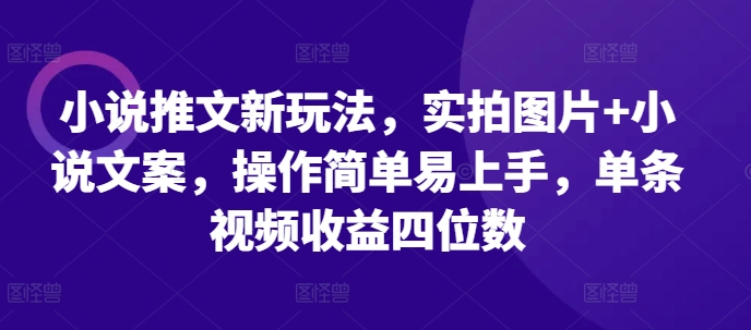 小说推文新玩法，实拍图片+小说文案，操作简单易上手，单条视频收益四位数-HEIXMI（中国站）