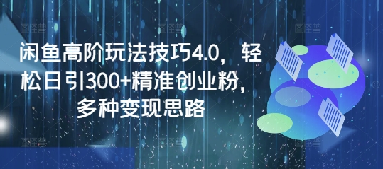 闲鱼高阶玩法技巧4.0，轻松日引300+精准创业粉，多种变现思路-HEIXMI（中国站）