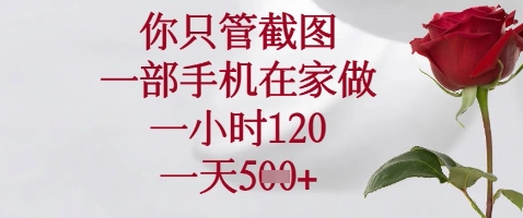 你只管截图，一部手机在家做，苹果安卓都可以，一小时120，一天5张+【揭秘】-HEIXMI（中国站）