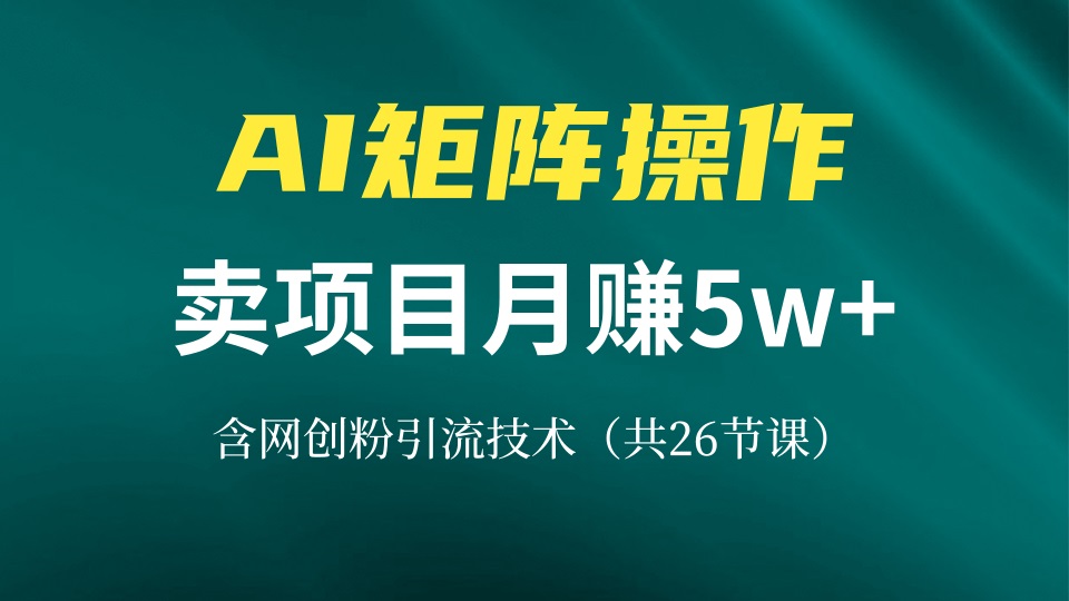 网创IP打造课，借助AI卖项目月赚5万+，含引流技术(共26节课-HEIXMI（中国站）