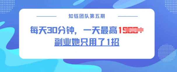 副业她只用了1招，每天30分钟，无脑二创，一天最高1.5k-HEIXMI（中国站）