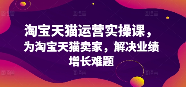 淘宝天猫运营实操课，为淘宝天猫卖家，解决业绩增长难题-HEIXMI（中国站）