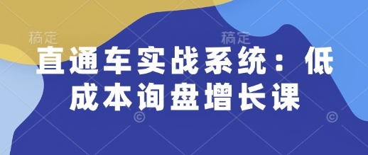 直通车实战系统：低成本询盘增长课，让个人通过技能实现升职加薪，让企业低成本获客，订单源源不断-HEIXMI（中国站）