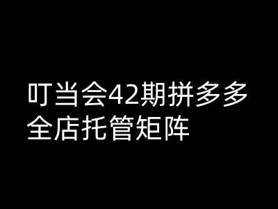 叮当会拼多多打爆班原创高阶技术第42期，拼多多全店托管矩阵-HEIXMI（中国站）