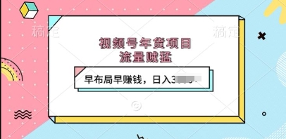 视频号年货项目，流量贼猛，早布局早挣钱，日入上k【揭秘】-HEIXMI（中国站）