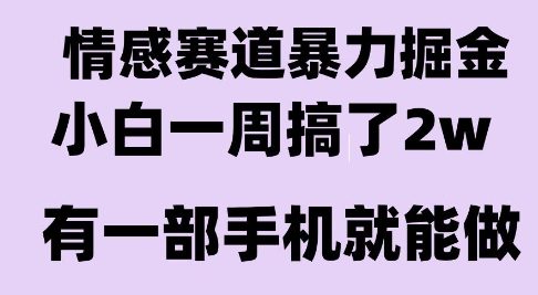 情感暴力掘金项目，新人操作一周挣了2W，长期稳定小白可做【揭秘】-HEIXMI（中国站）