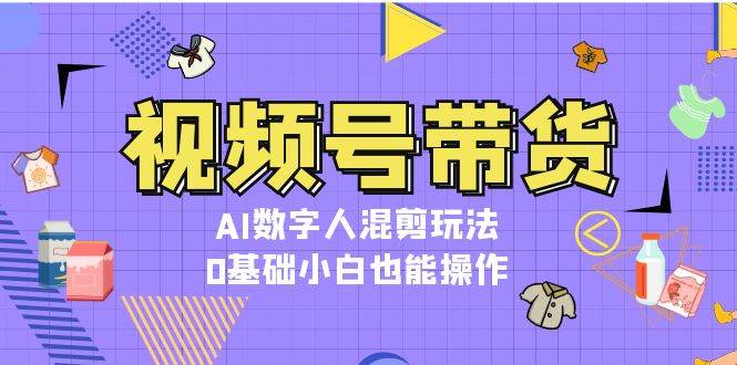 视频号带货，AI数字人混剪玩法，0基础小白也能操作-HEIXMI（中国站）