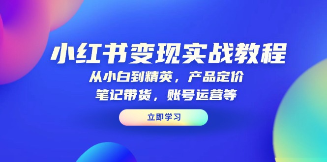 小红书变现实战教程：从小白到精英，产品定价，笔记带货，账号运营等-HEIXMI（中国站）