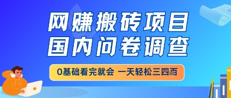 网创搬砖项目，国内问卷调查，小白轻松上手，一天三四张的也不难，干就完了【揭秘】 - HEIXMI（中国站）-HEIXMI（中国站）