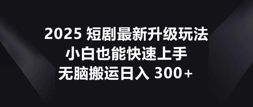 2025短剧最新升级玩法，小白也能快速上手，无脑搬运日入300+-HEIXMI（中国站）