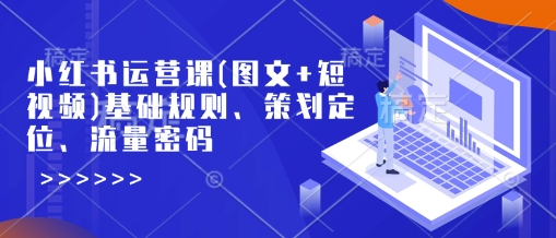 小红书运营课(图文+短视频)基础规则、策划定位、流量密码-HEIXMI（中国站）