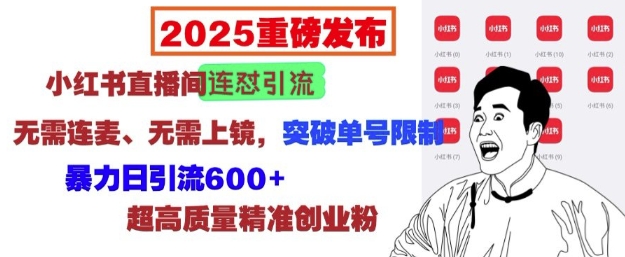 2025重磅发布：小红书直播间连怼引流，无需连麦、无需上镜，突破单号限制，暴力日引流600+-HEIXMI（中国站）