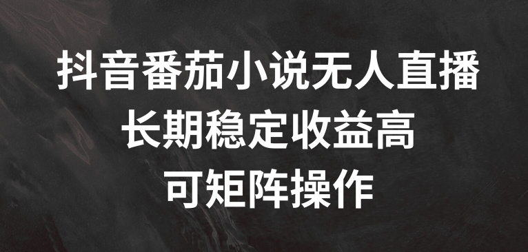 抖音番茄小说无人直播，长期稳定收益高，可矩阵操作【揭秘】-HEIXMI（中国站）