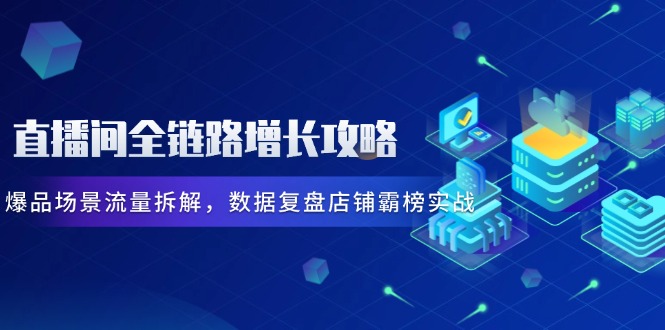 直播间全链路增长攻略，爆品场景流量拆解，数据复盘店铺霸榜实战-HEIXMI（中国站）