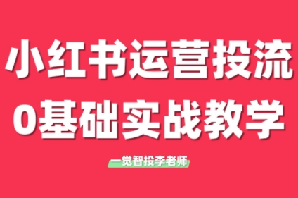 李老师·小红书运营投流，0基础实战教学(更新) - HEIXMI（中国站）-HEIXMI（中国站）