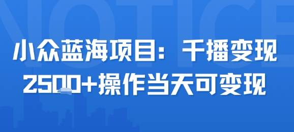 小众蓝海项目，千播变现2.5k+操作当天可变现-HEIXMI（中国站）