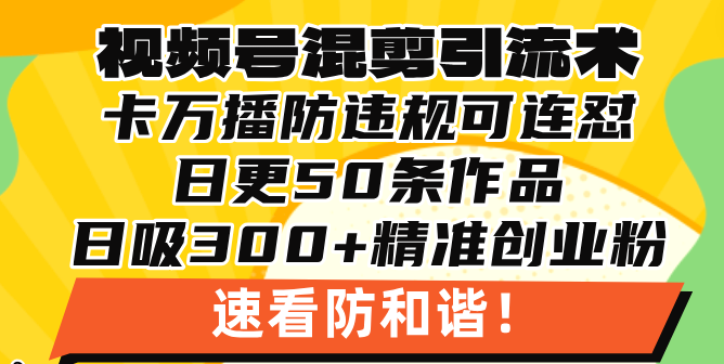 视频号混剪引流技术，500万播放引流17000创业粉，操作简单当天学会-HEIXMI（中国站）