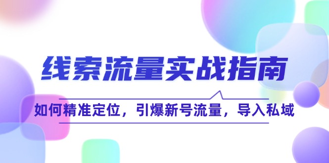线 索 流 量-实战指南：如何精准定位，引爆新号流量，导入私域-HEIXMI（中国站）