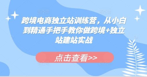 跨境电商独立站训练营，从小白到精通手把手教你做跨境+独立站建站实战-HEIXMI（中国站）