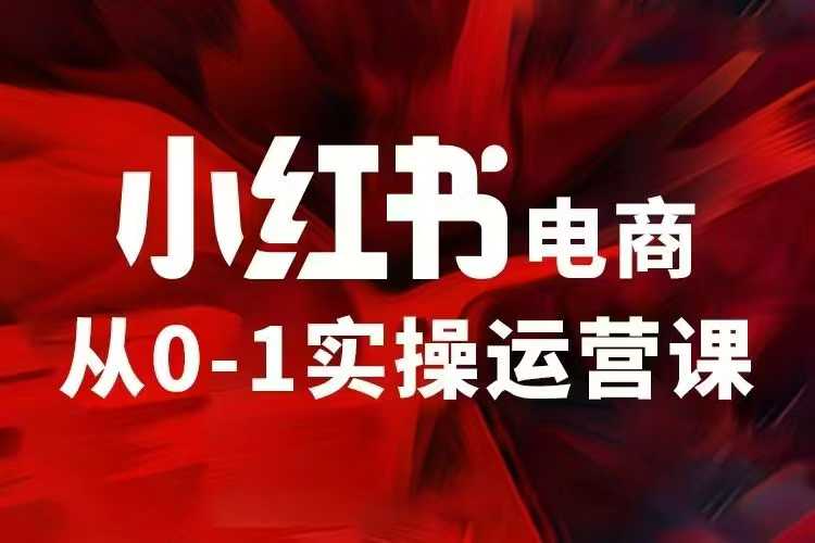 小红书电商运营，97节小红书vip内部课，带你实现小红书赚钱-HEIXMI（中国站）