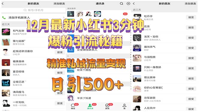 12月最新小红书3分钟爆粉引流秘籍 精准私域流量变现 日引500+-HEIXMI（中国站）