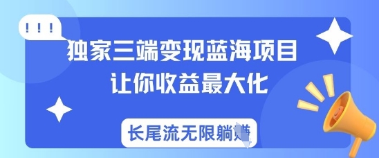 独家三端变现蓝海项目，让你收益最大化，长尾流无限躺挣-HEIXMI（中国站）