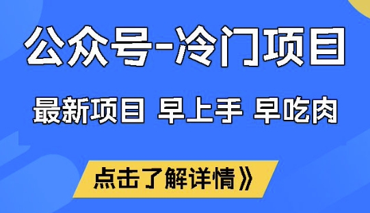 公众号冷门赛道，早上手早吃肉，单月轻松稳定变现1W【揭秘】-HEIXMI（中国站）