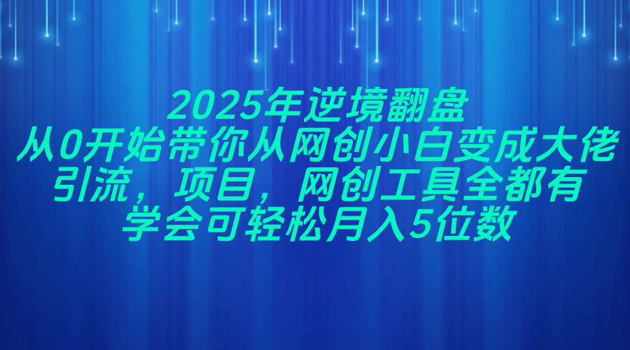 2025年逆境翻盘，从0开始带你从网创小白变成大佬，引流，项目，网创工…-HEIXMI（中国站）